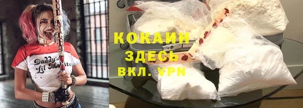 молекула духа Волоколамск