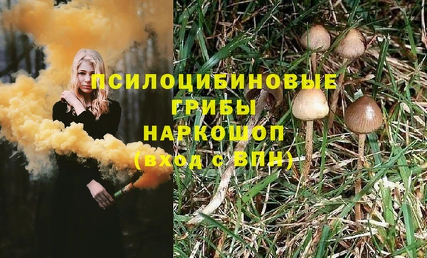 твердый Володарск