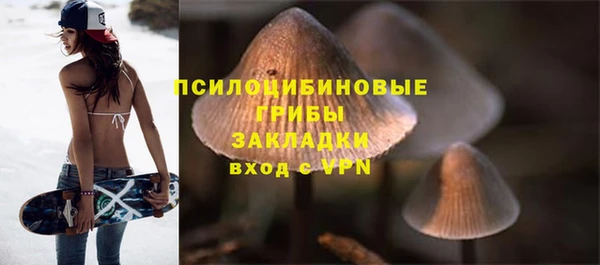 молекула духа Волоколамск
