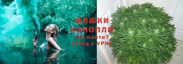 молекула духа Волоколамск